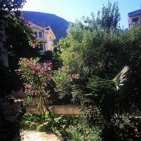 Son Bunyola Vlorë