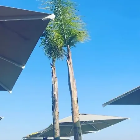 Son Bunyola * Vlorë